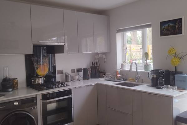 House sit in Kingston upon Thames, United Kingdom