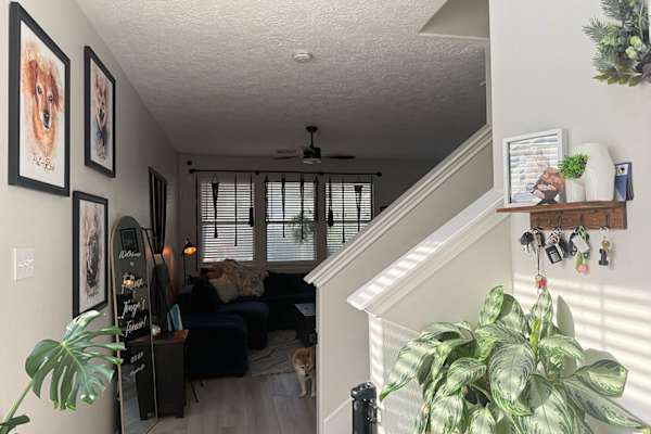 House sit in Houston, TX, US