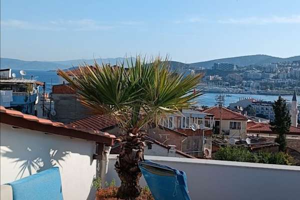 House sit in Kuşadası, Turkey