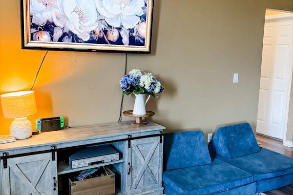 House sit in Orlando, FL, US