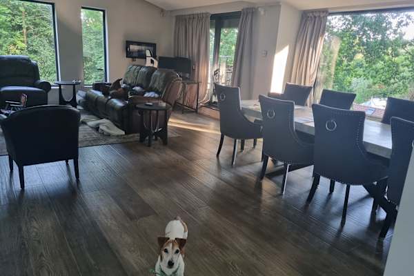 House sit in Farnham, United Kingdom