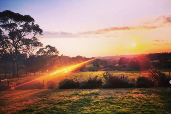 house sitting jobs victoria House sit in Melbourne, VIC, Australia