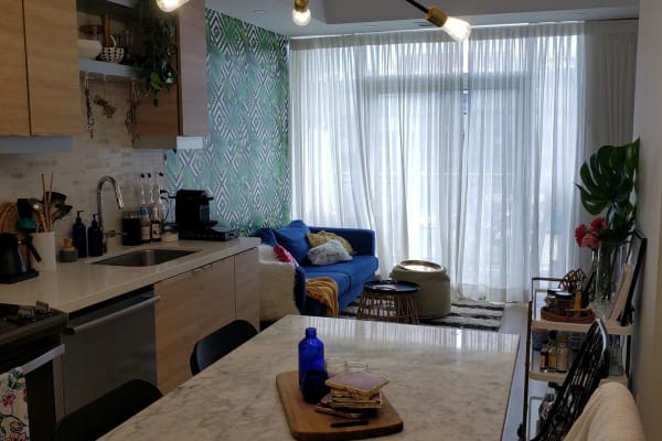 House sit in Toronto, ON, Canada
