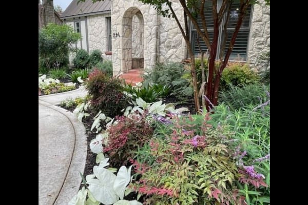 House sit in San Antonio, TX, US