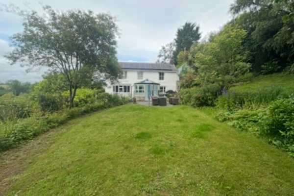 House sit in Cowbridge, United Kingdom