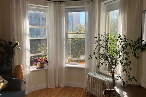 House sit in Brooklyn, NY, US