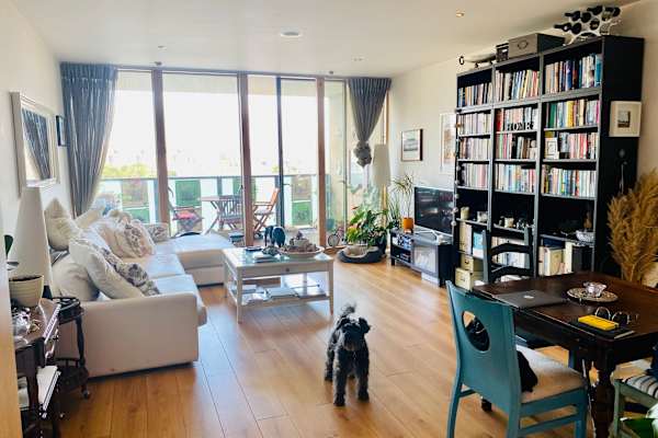 House sit in Dublin, Ireland