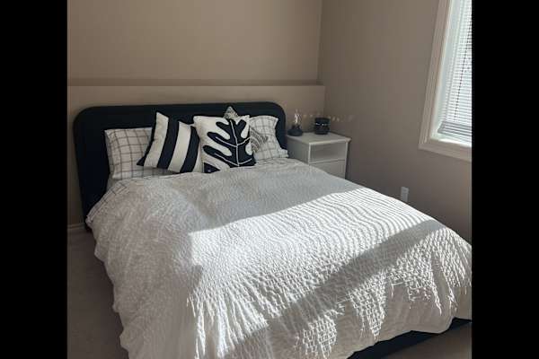 House sit in Calgary, AB, Canada