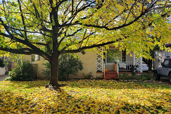 House sit in Redding, CA, US