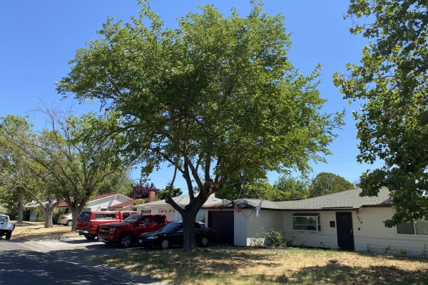 House sit in Arden-Arcade, CA, US