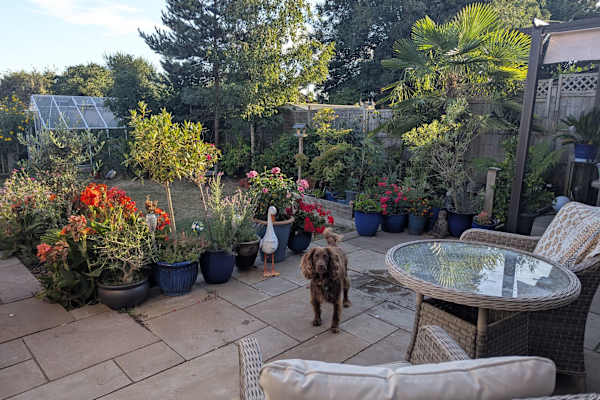 House sit in Waterlooville, United Kingdom