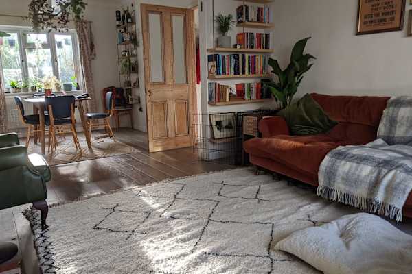 House sit in Leyton, United Kingdom