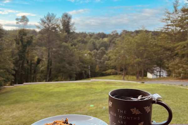 House sit in Asheville, NC, US