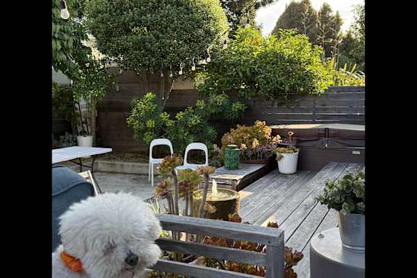 House sit in Santa Cruz, CA, US