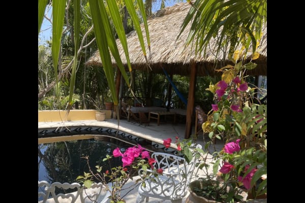 House sit in Puerto Escondido, Mexico