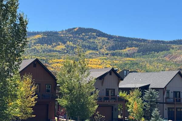 House sit in Steamboat Springs, CO, US