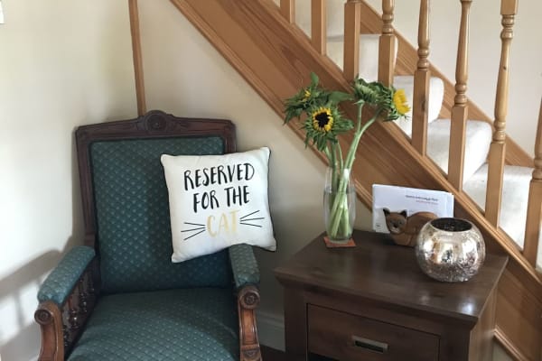 House sit in Lauder, United Kingdom