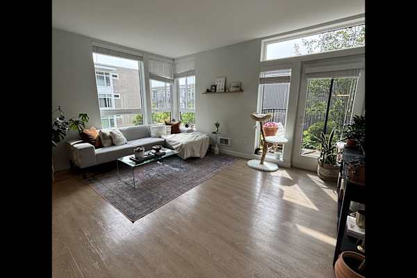 House sit in Bainbridge Island, WA, US