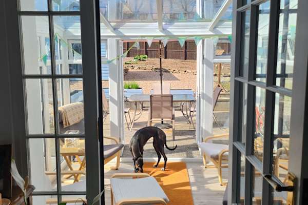 House sit in Dingwall, United Kingdom