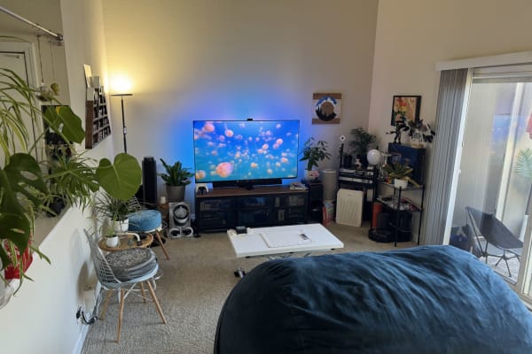 House sit in Sunnyvale, CA, US
