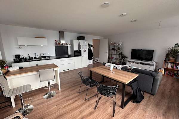 House sit in Amsterdam, Netherlands