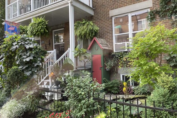 House sit in Montréal, QC, Canada