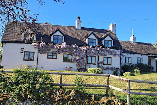 House sit in Ledbury, United Kingdom