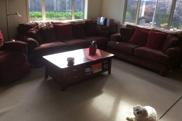 House sit in Taradale, New Zealand