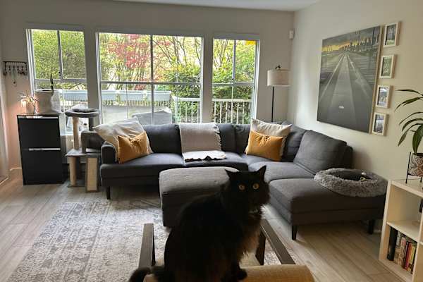 House sit in Vancouver, BC, Canada