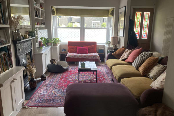 House sit in London, United Kingdom