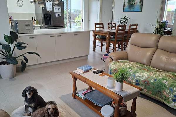 House sit in Mount Coolum, QLD, Australia