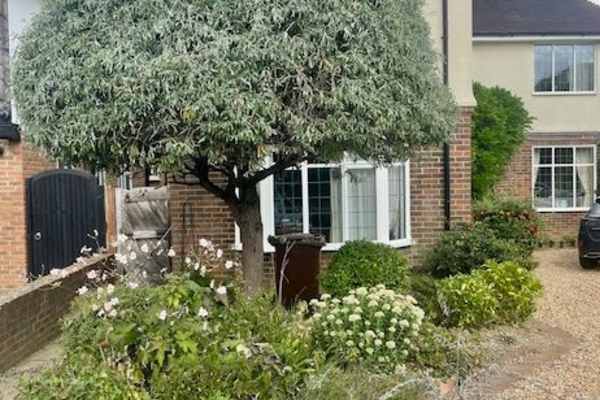 House sit in Tonbridge, United Kingdom