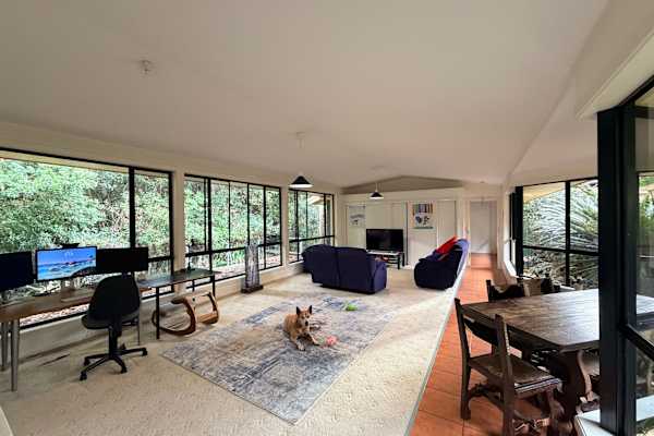 House sit in Coffs Harbour, NSW, Australia