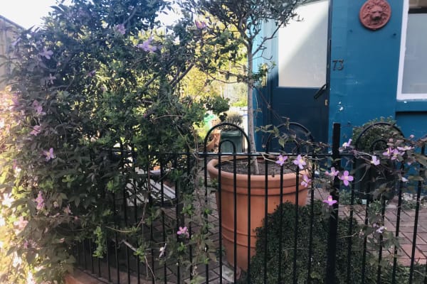 House sit in Islington, United Kingdom