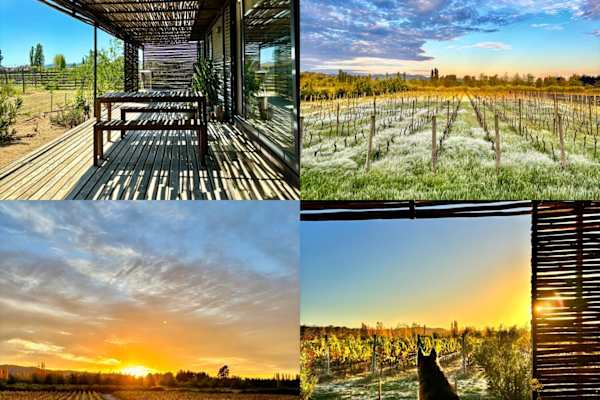 House sit in Peralillo, Chile