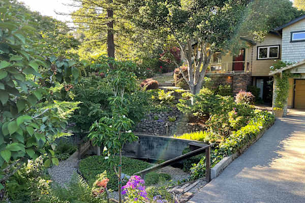 House sit in Mill Valley, CA, US