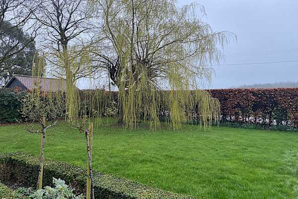 House sit in Newmarket, United Kingdom