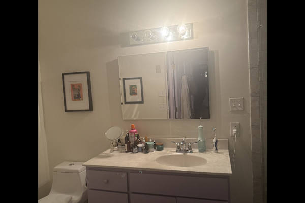 House sit in Asheville, NC, US