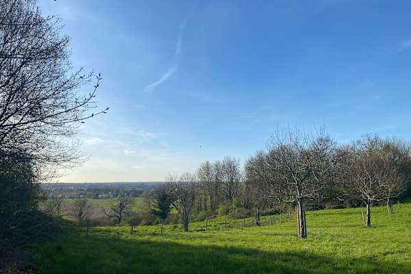 House sit in Maastricht, Netherlands