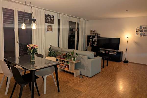 House sit in Zürich, Switzerland