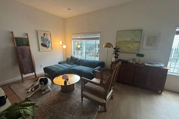 House sit in Los Angeles, CA, US