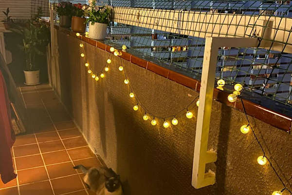 House sit in Barcelona, Spain