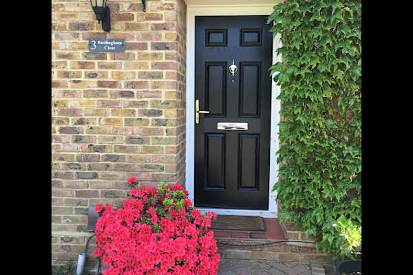 House sit in Guildford, United Kingdom
