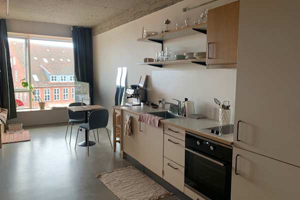 House sit in Copenhagen, Denmark