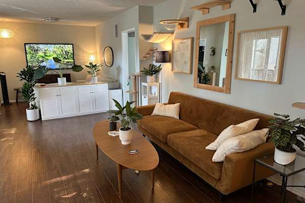 House sit in West Hollywood, CA, US