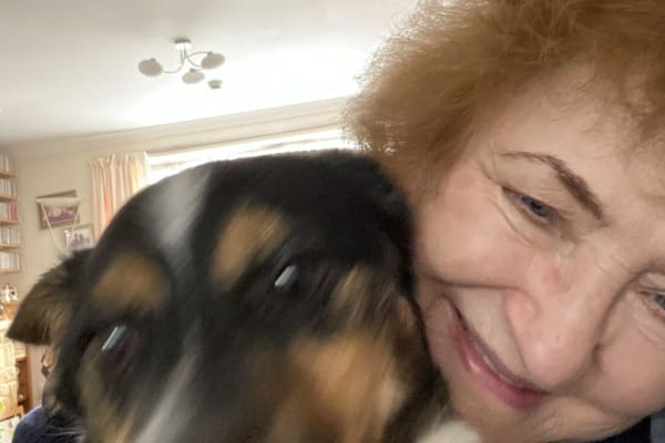 House sit in Loughborough, United Kingdom