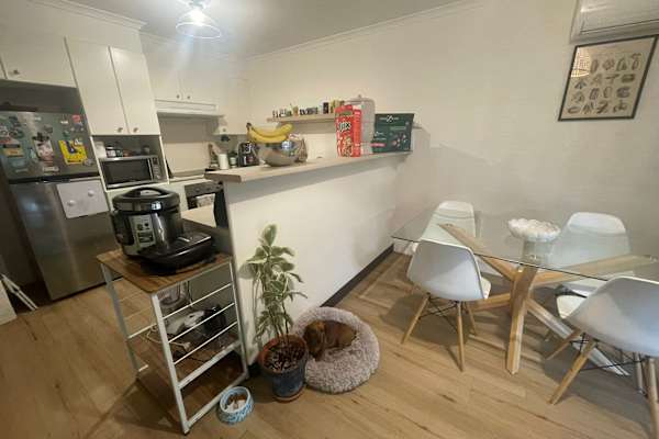 House sit in Canberra, Australian Capital Territory, Australia