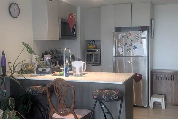 House sit in Montréal, QC, Canada
