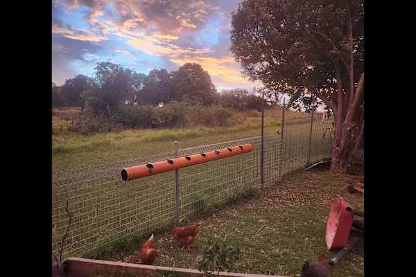 House sit in Windang, NSW, Australia