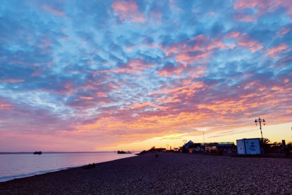 House sit in Portsmouth, United Kingdom